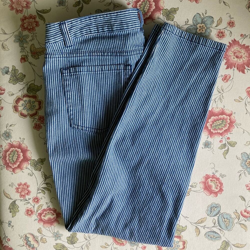 Nautica Blue & White Skinny Pants, Size 30